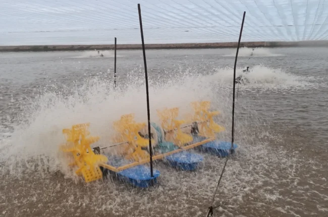 Paddlewheel Aerators