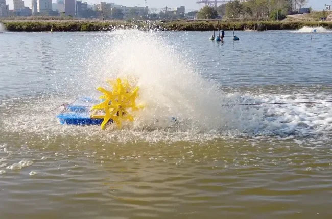水车实景