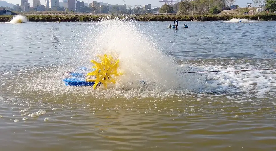 水车实景
